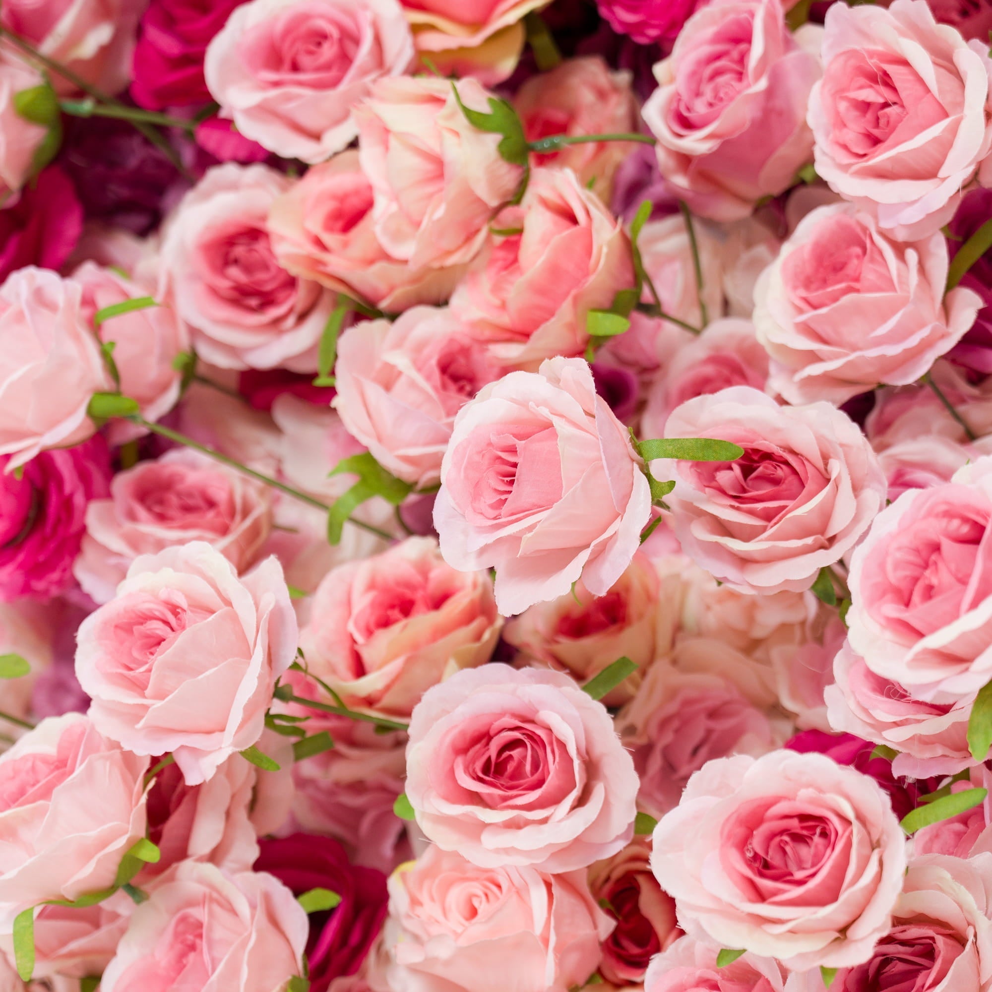 🔥[Hot sale]🔥 Roll Up Fabric Artificial Red to White Gradient Flower Wall Wedding Backdrop, Floral Party Decor, Event Photography