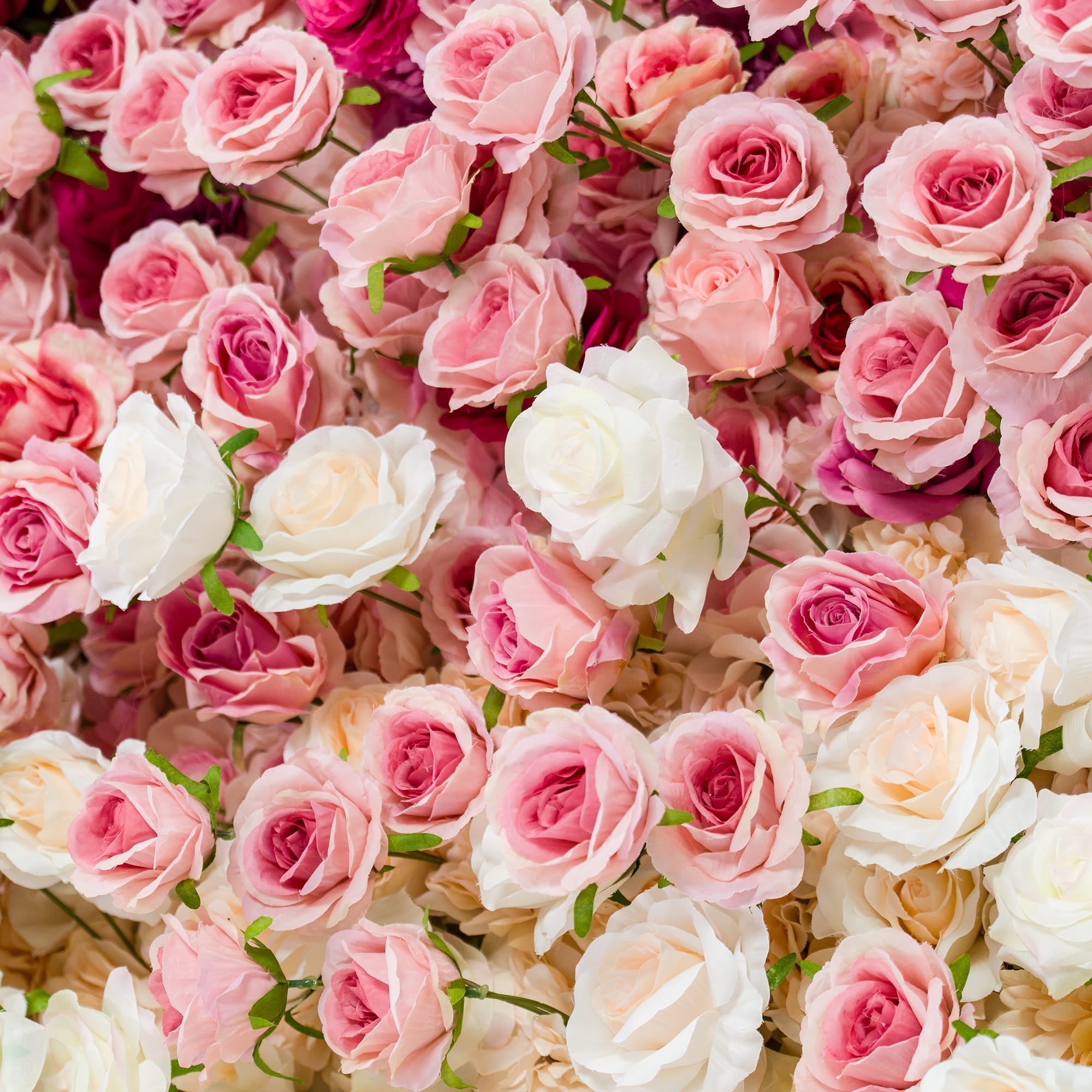 🔥[Hot sale]🔥 Roll Up Fabric Artificial Red to White Gradient Flower Wall Wedding Backdrop, Floral Party Decor, Event Photography